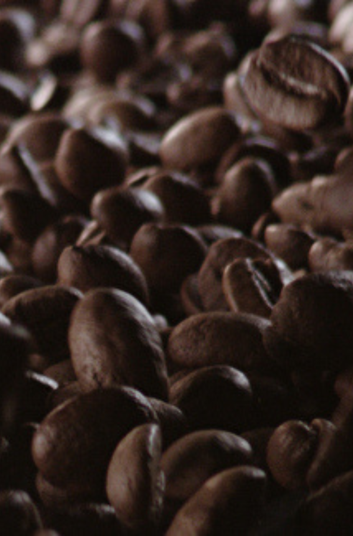 UA-1986428_NLD_DOU_HeroTheCoffee_WEB_Unknown_Image_1172-1781_0-0