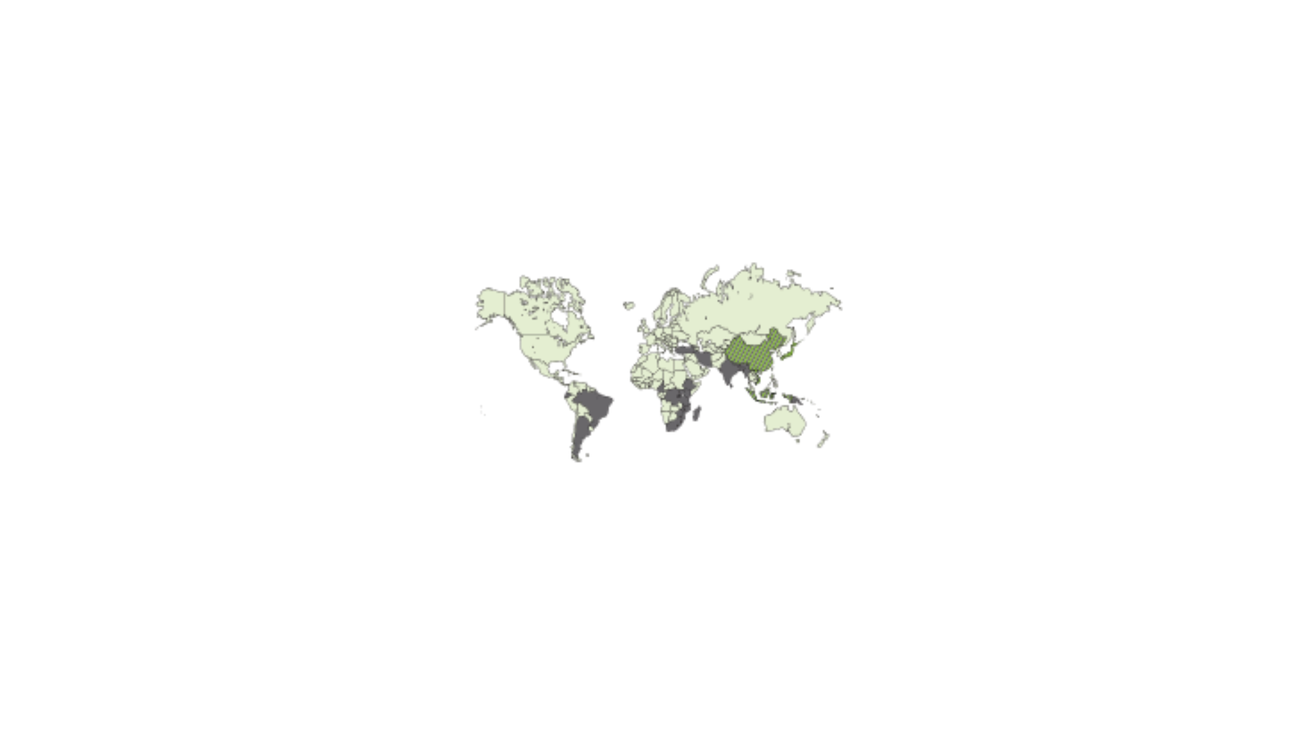 Tea process and origin (1)